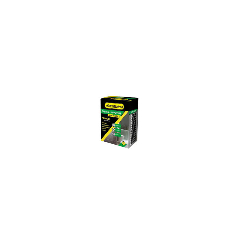 PASTINA PENNSYLVANIA SILICONA NEGRO 1KG