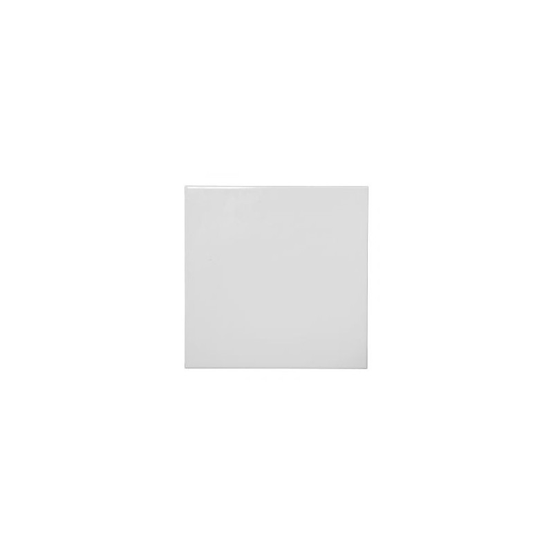 PISOS CERAL ESMALTADO 4002 "A" (2,39MTS) 46,65X46,65