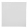 PISOS CERAL ESMALTADO 4002 "A" (2,39MTS) 46,65X46,65