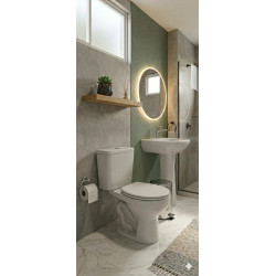 INODORO ACOPLE CELITE GRIS CLARO